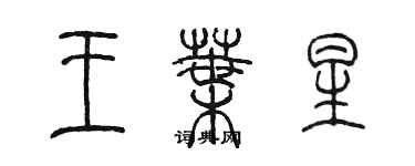 陳墨王葉星篆書個性簽名怎么寫