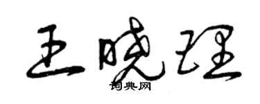 曾慶福王曉理草書個性簽名怎么寫