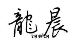 王正良龍晨行書個性簽名怎么寫
