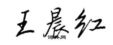 王正良王晨紅行書個性簽名怎么寫