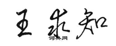 駱恆光王求知行書個性簽名怎么寫