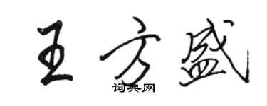 駱恆光王方盛行書個性簽名怎么寫