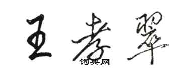 駱恆光王孝翠行書個性簽名怎么寫