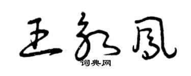 曾慶福王永鳳草書個性簽名怎么寫