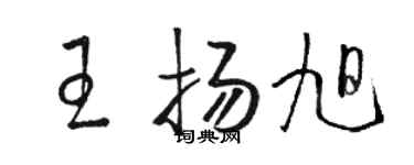 駱恆光王揚旭草書個性簽名怎么寫