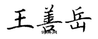 丁謙王善岳楷書個性簽名怎么寫