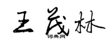 曾慶福王茂林行書個性簽名怎么寫