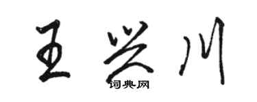 駱恆光王興川行書個性簽名怎么寫