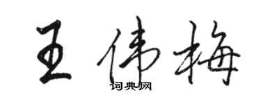 駱恆光王偉梅行書個性簽名怎么寫