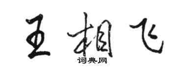 駱恆光王相飛行書個性簽名怎么寫