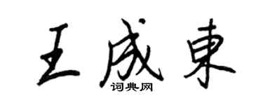 王正良王成東行書個性簽名怎么寫