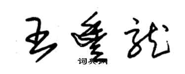 朱錫榮王豐龍草書個性簽名怎么寫