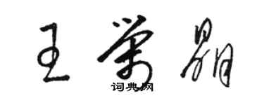 駱恆光王榮晶草書個性簽名怎么寫