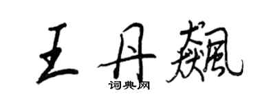 王正良王丹飈行書個性簽名怎么寫