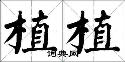 翁闓運植植楷書怎么寫