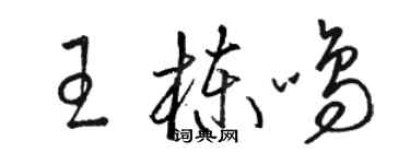 駱恆光王棟鳴草書個性簽名怎么寫