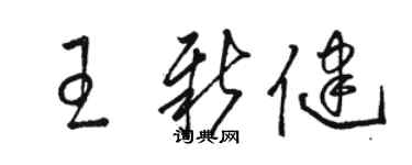 駱恆光王新健草書個性簽名怎么寫