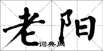 翁闓運老陽楷書怎么寫