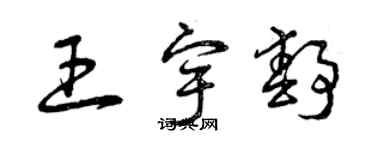 曾慶福王宇靜草書個性簽名怎么寫