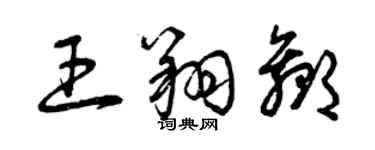 曾慶福王翔贏草書個性簽名怎么寫