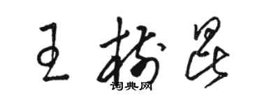 駱恆光王樹昆草書個性簽名怎么寫