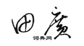 駱恆光田廣草書個性簽名怎么寫