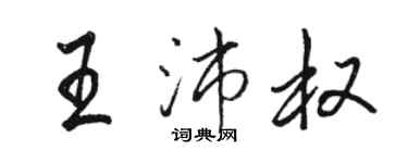 駱恆光王沛權行書個性簽名怎么寫