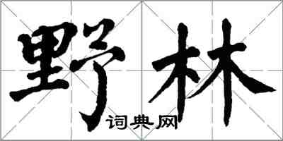 翁闓運野林楷書怎么寫