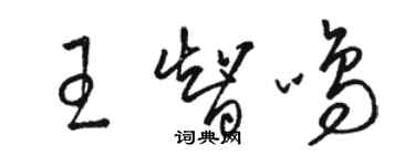 駱恆光王智鳴草書個性簽名怎么寫