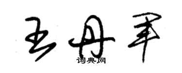 朱錫榮王丹軍草書個性簽名怎么寫