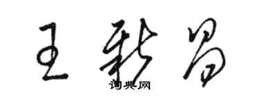 駱恆光王新昌草書個性簽名怎么寫