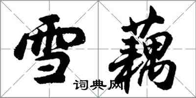 胡問遂雪藕行書怎么寫