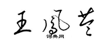 梁錦英王鳳苓草書個性簽名怎么寫