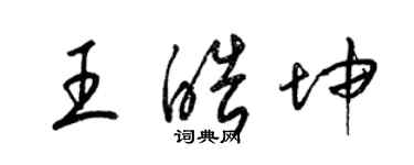 梁錦英王皓坤草書個性簽名怎么寫