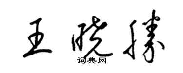 梁錦英王曉勝草書個性簽名怎么寫
