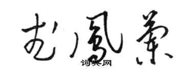 駱恆光武鳳蘭草書個性簽名怎么寫