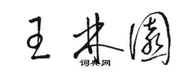 駱恆光王林園草書個性簽名怎么寫