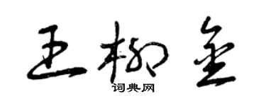 曾慶福王柳金草書個性簽名怎么寫