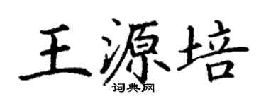 丁謙王源培楷書個性簽名怎么寫