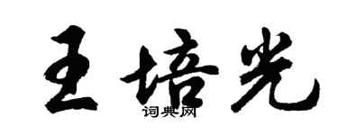 胡問遂王培光行書個性簽名怎么寫
