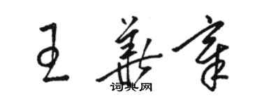 駱恆光王華章草書個性簽名怎么寫