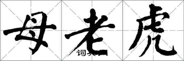 翁闓運母老虎楷書怎么寫