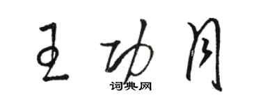 駱恆光王功月草書個性簽名怎么寫