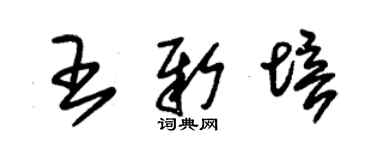 朱錫榮王新培草書個性簽名怎么寫