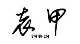 朱錫榮袁甲草書個性簽名怎么寫