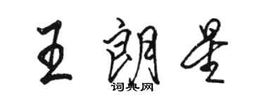 駱恆光王朗星行書個性簽名怎么寫