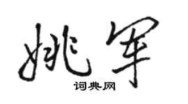 駱恆光姚軍行書個性簽名怎么寫