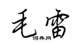 王正良毛雷行書個性簽名怎么寫