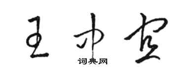 駱恆光王中宜草書個性簽名怎么寫