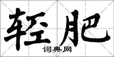 翁闓運輕肥楷書怎么寫